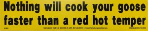 Nothing Will Cook Your Goose Faster Than a Hot Temper bumper sticker