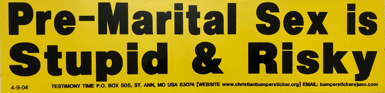 Pre-Marital Sex is Stupid & Risky bumper sticker